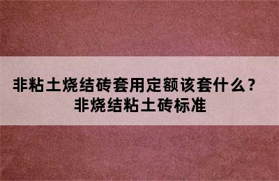 非粘土烧结砖套用定额该套什么？ 非烧结粘土砖标准